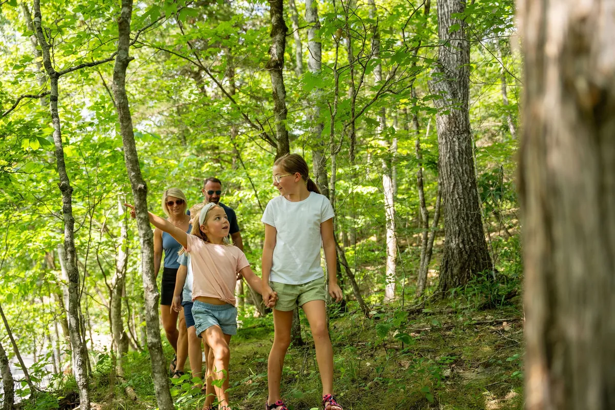 A forest trail where children explore and walk beneath tall trees, accompanied by family members in the background. The path winds through lush greenery, and the joyful mood is evident in the group's shared sense of discovery and togetherness.